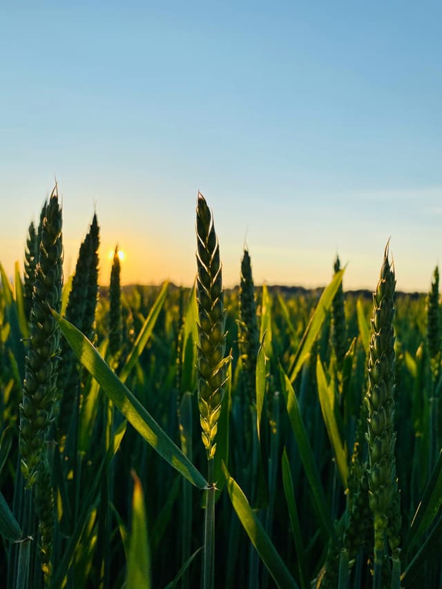 PRIVATE LABEL – RETAIL